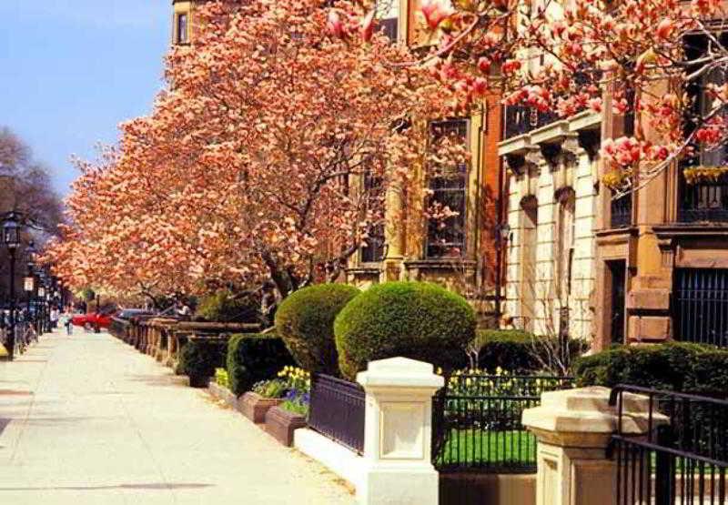 Courtyard By Marriott Boston Logan Airport Hotell Eksteriør bilde
